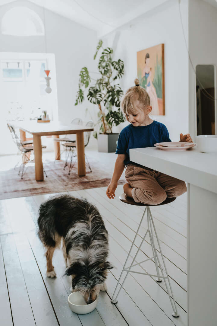 HUNTER Keramik-Napf Lund